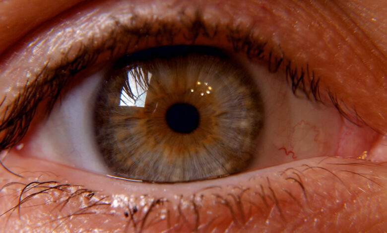 Oeil humain avec paupières en gros plan