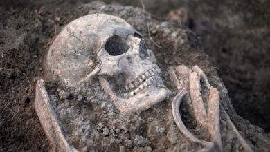 Des restes humains médiévaux découverts lors de fouilles archéologiques