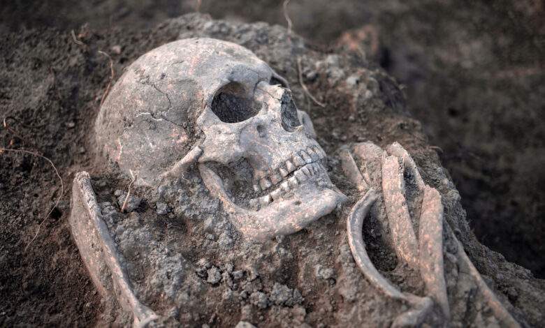 Des restes humains médiévaux découverts lors de fouilles archéologiques