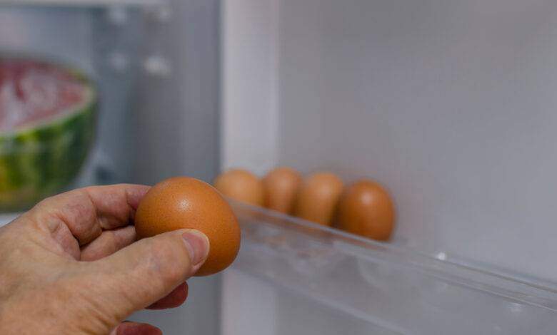 Mettre un oeuf au réfrigérateur