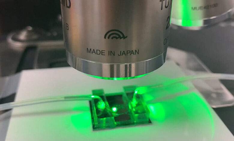Des chercheurs ont mis au point une pince laser pour isoler et déplacer les virus