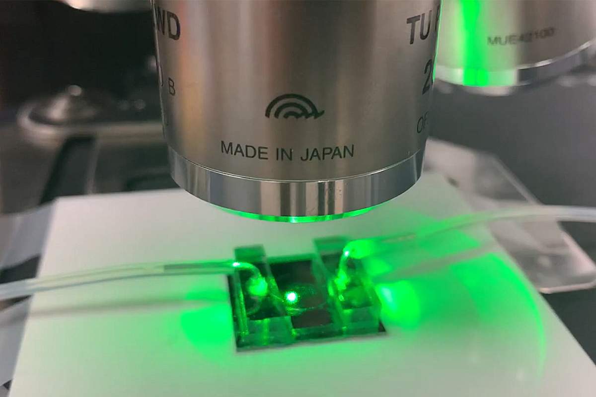 Des chercheurs ont mis au point une pince laser pour isoler et déplacer les virus