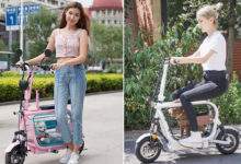 Un scooter électrique avec une cage pour chien intégrée