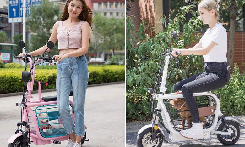 Un scooter électrique avec une cage pour chien intégrée