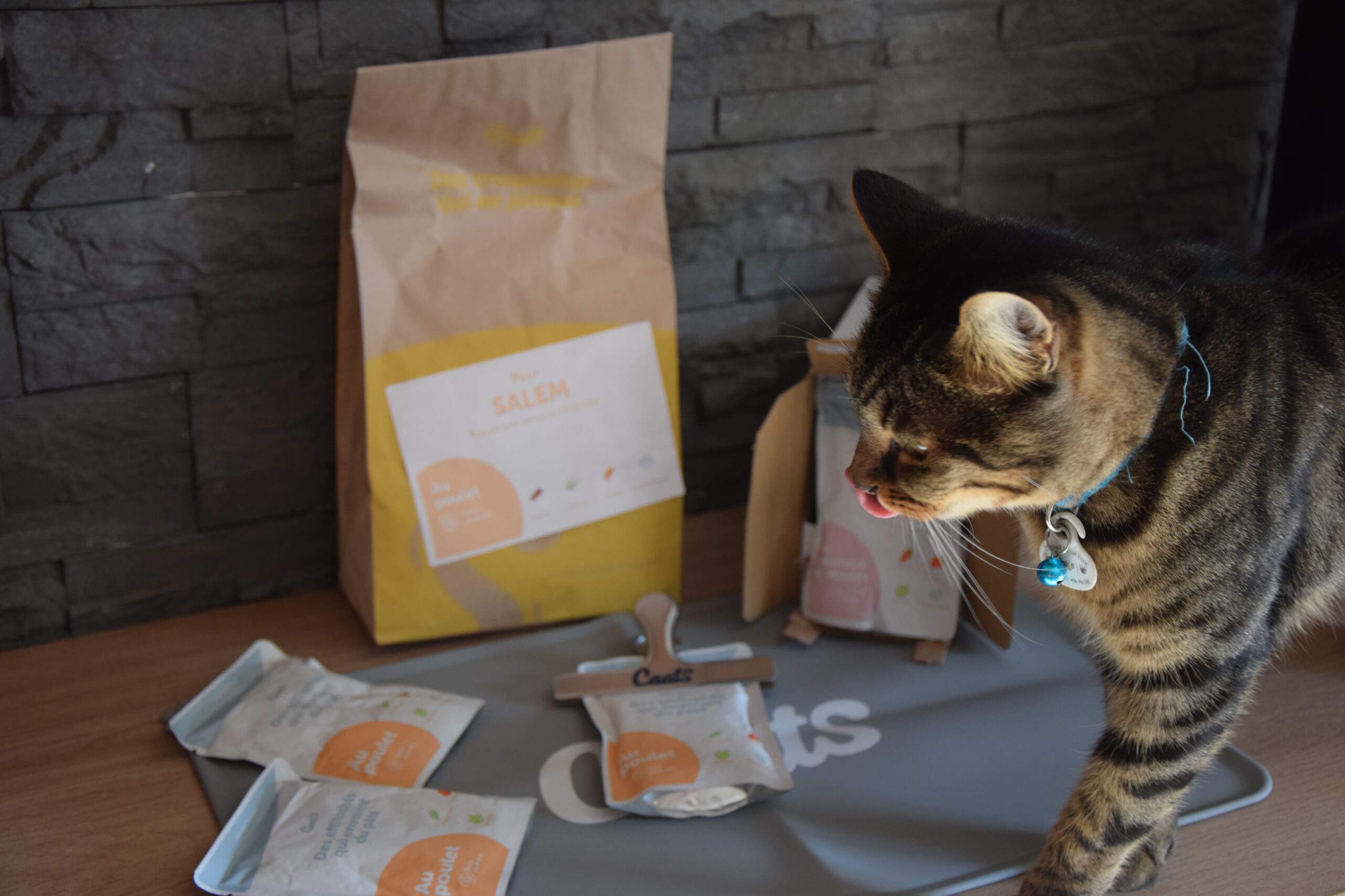 Nous avons testé (nos chats) l'alimentation 100% française CAATS - NeozOne