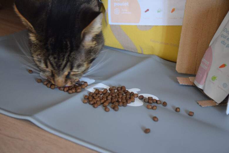 Nous avons testé (à notre chat) l'alimentation 100% française CAATS