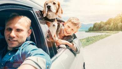 Une famille en voiture avec un chien