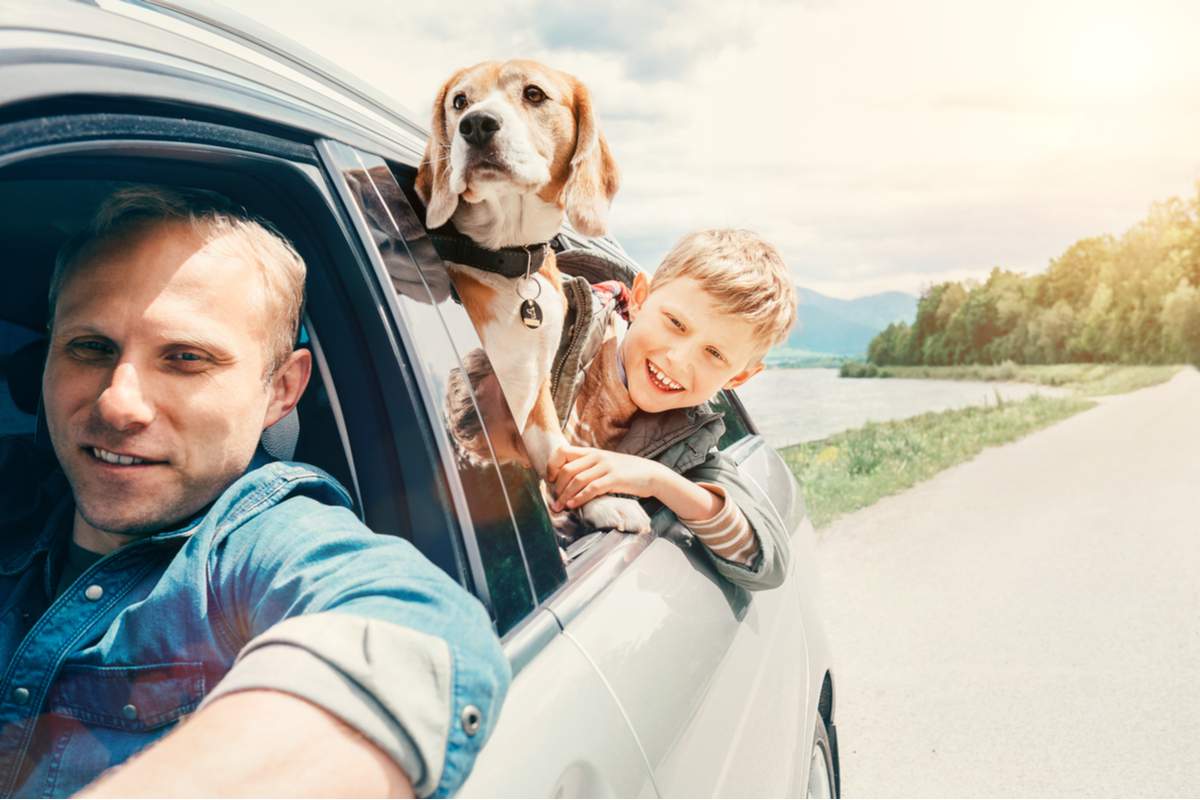 Une famille en voiture avec un chien