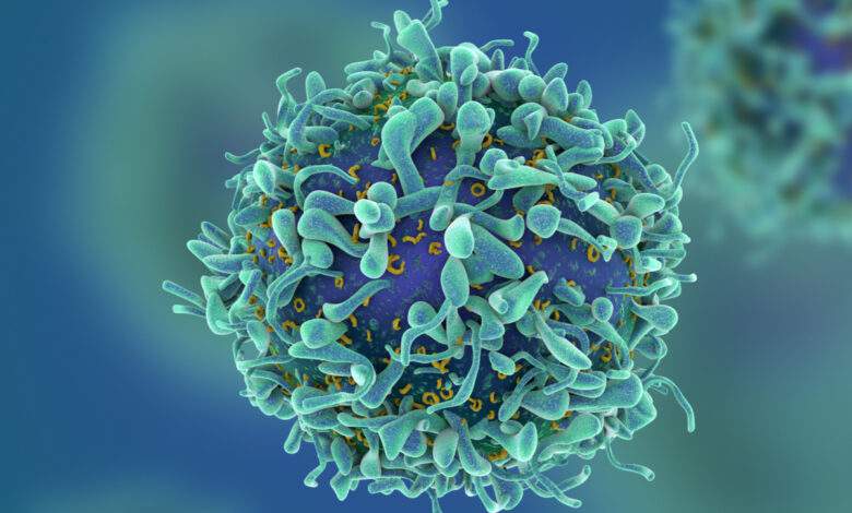 Des chercheurs ont réussit à désactiver le gène à l'origine de la propagation des principaux cancers