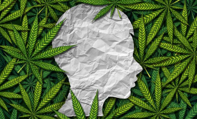 Le cannabis pour traiter l'épilepsie chez l'enfant