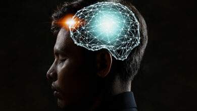 Le mystère de la consommation excessive d’énergie par le cerveau enfin élucidé
