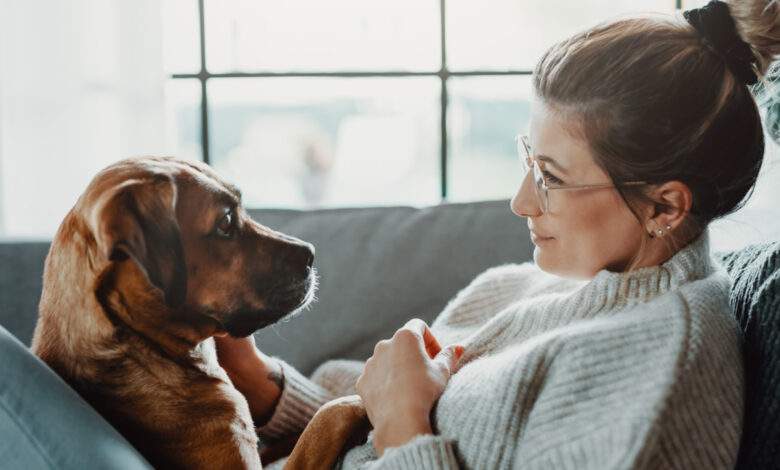 Les comportementalistes canins vous déconseillent fermement "d'aboyer sur votre chien" comme sur Tik Tok