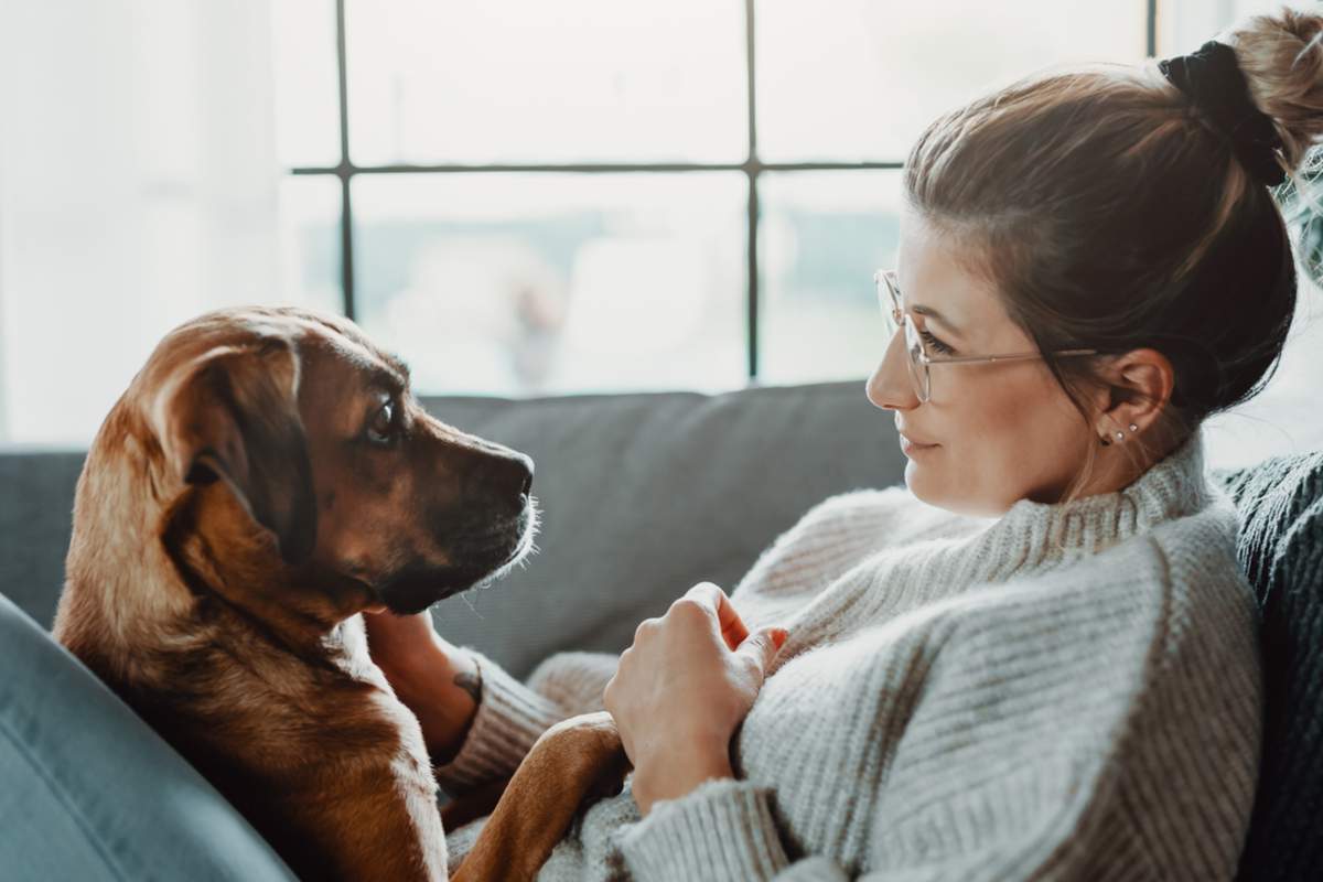 Les comportementalistes canins vous déconseillent fermement "d'aboyer sur votre chien" comme sur Tik Tok