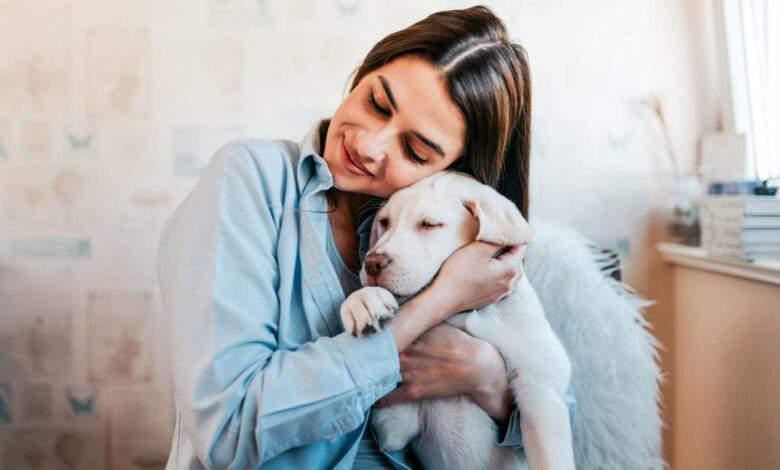 assurance pour chien