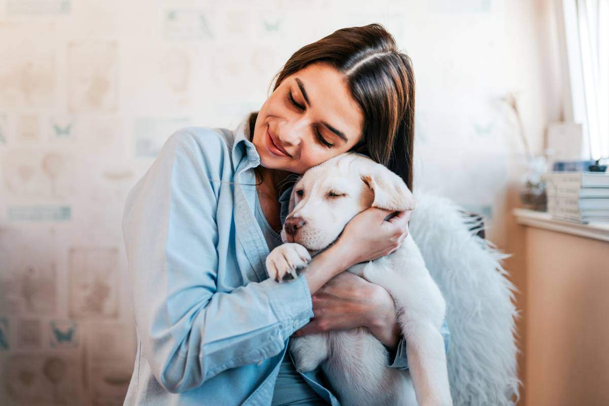 assurance pour chien