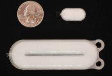 Cet implant pour lutter contre le diabète de type 1 est un espoir pour les malades