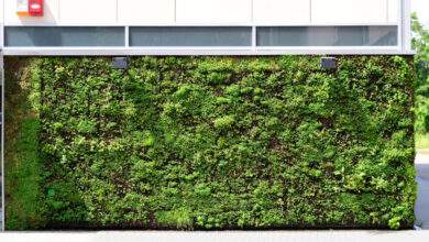Un mur végétalisé pour mieux isoler sa maison