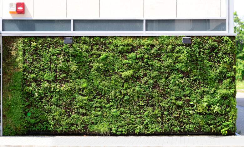 Un mur végétalisé pour mieux isoler sa maison