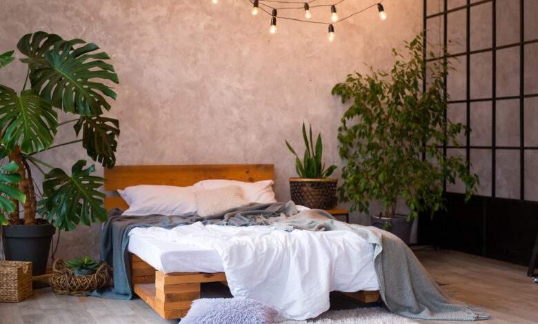 8 plantes d'intérieur bénéfique pour le sommeil.