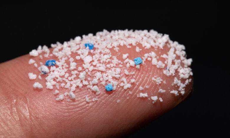 Les microbes de la terre et de l’océan évoluent pour dégrader le plastique