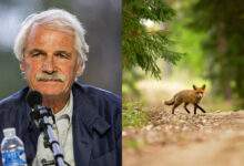 Yann Arthus-Bertrand rachète une forêt des Yvelines (78) pour en faire une réserve naturelle