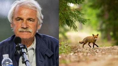 Yann Arthus-Bertrand rachète une forêt des Yvelines (78) pour en faire une réserve naturelle