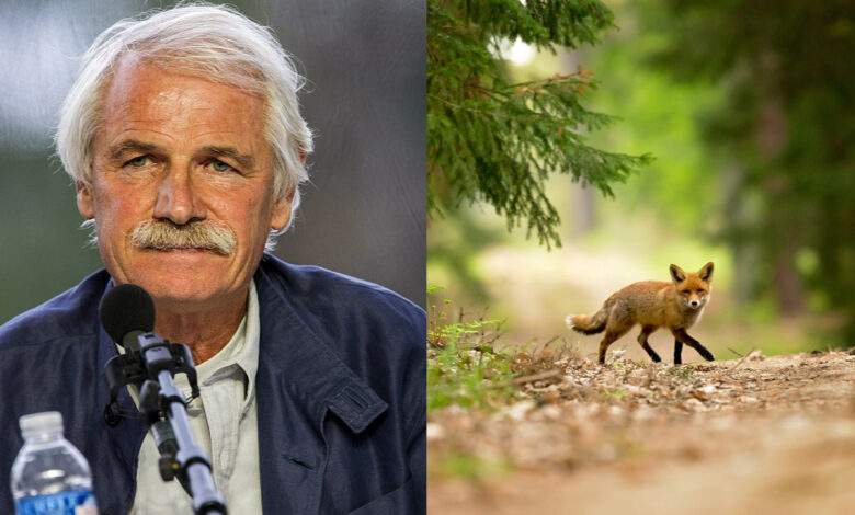 Yann Arthus-Bertrand rachète une forêt des Yvelines (78) pour en faire une réserve naturelle