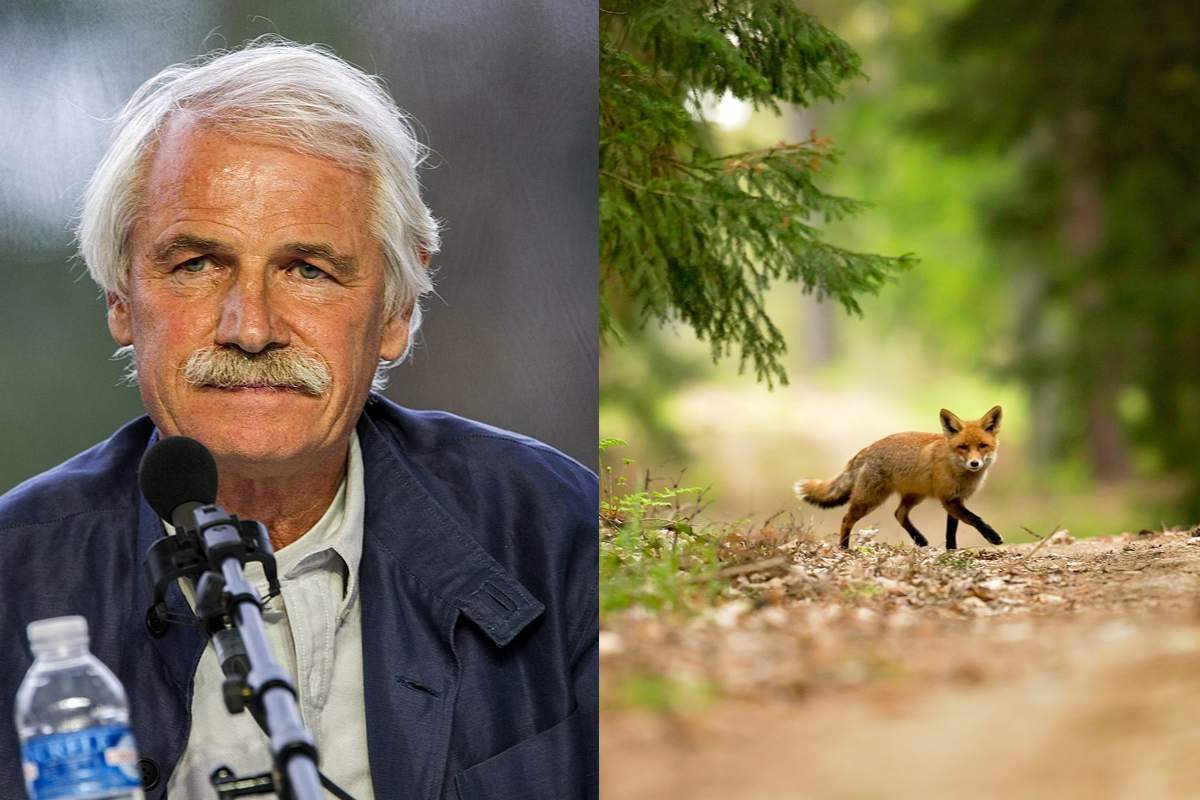 Yann Arthus-Bertrand rachète une forêt des Yvelines (78) pour en faire une réserve naturelle