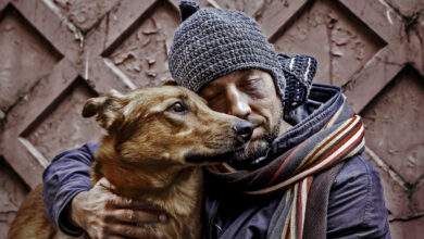 Bordeaux : des logements modulables dédiés aux SDF (et leurs animaux de compagnie)