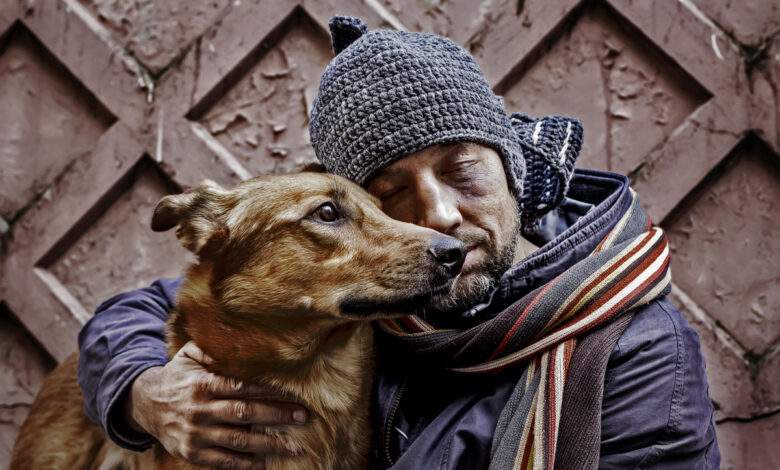 Bordeaux : des logements modulables dédiés aux SDF (et leurs animaux de compagnie)