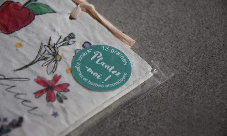 Papier à planter : nous avons testé le papier ensemencé Papierfleur