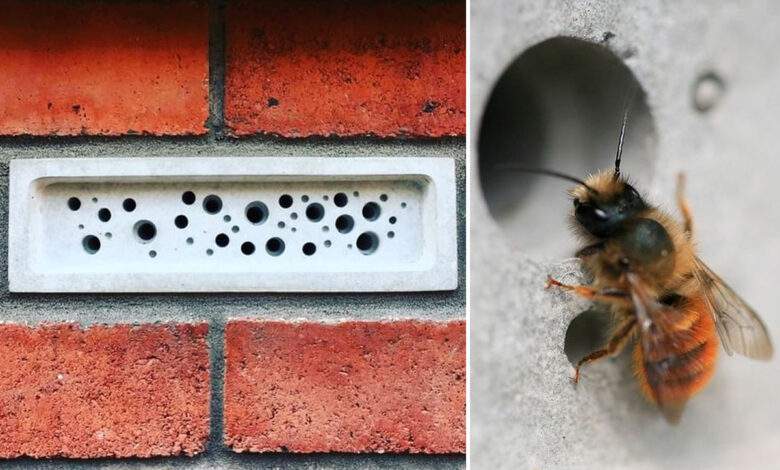 des briques pour protéger les abeilles (Bee Brick)