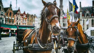 Savez-vous pourquoi on mesure la puissance d’une voiture en "chevaux" ?