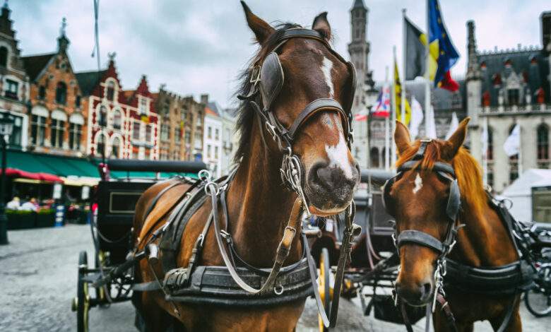 Savez-vous pourquoi on mesure la puissance d’une voiture en "chevaux" ?