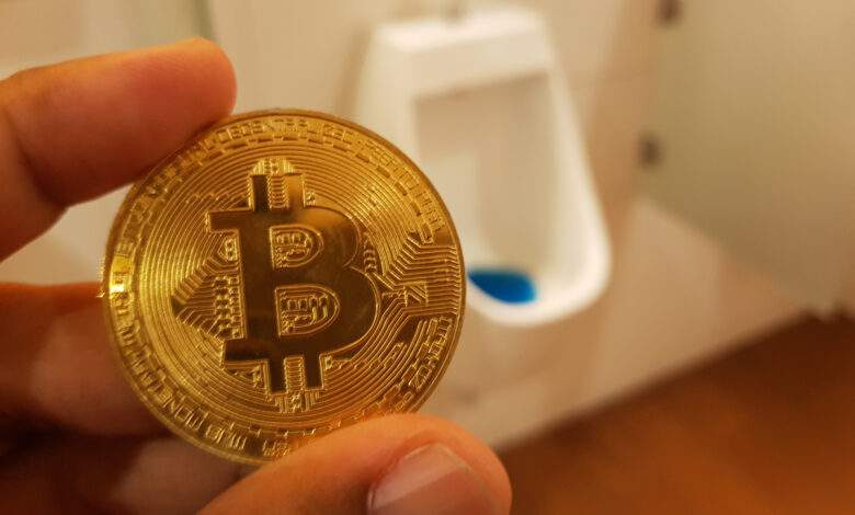 Un chercheur invente les toilettes qui transforment les excréments en énergie et en cryptomonnaie