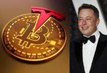 Elon Musk a-t-il révélé le vrai nom du créateur du bitcoin ?