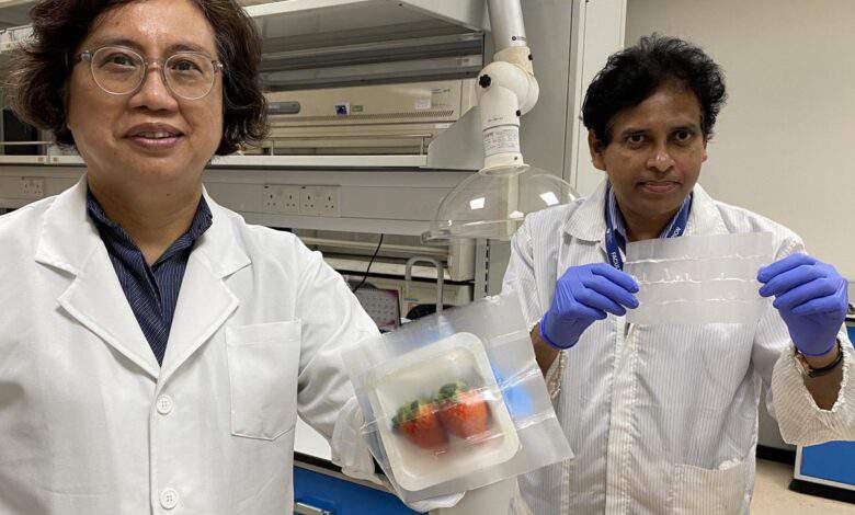Un emballage (sans plastique) pour les produits frais, antibactérien et biodégradable