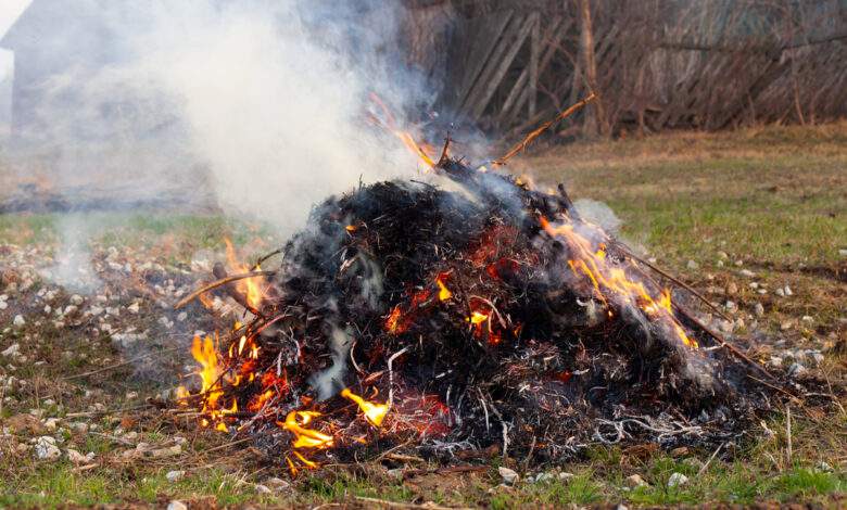 Il est interdit de brûler des déchets verts dans son jardin, mais il est possible d'avoir une dérogation