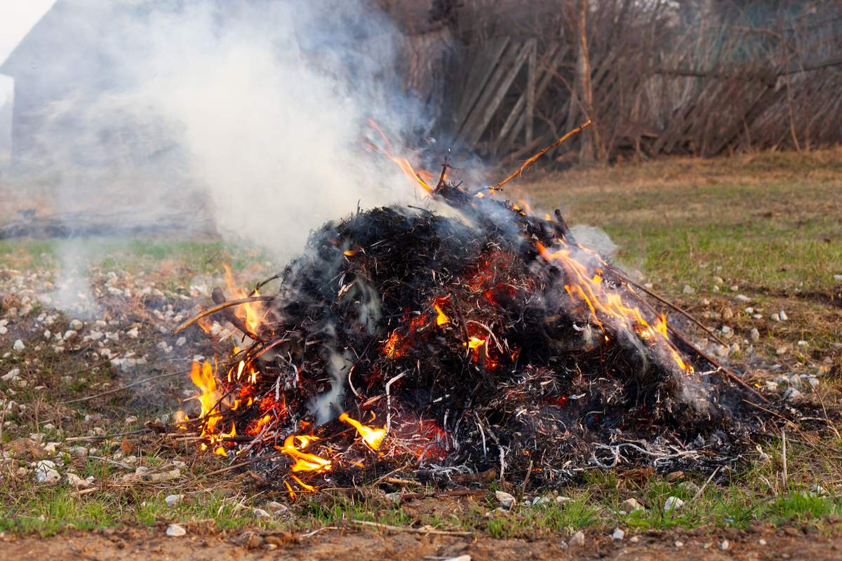 Il est interdit de brûler des déchets verts dans son jardin, mais il est possible d'avoir une dérogation
