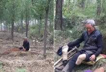 Amputé, ce vétéran de 70 ans a planté plus de 17 000 arbres en 20 ans pour transformer une montagne aride en forêt