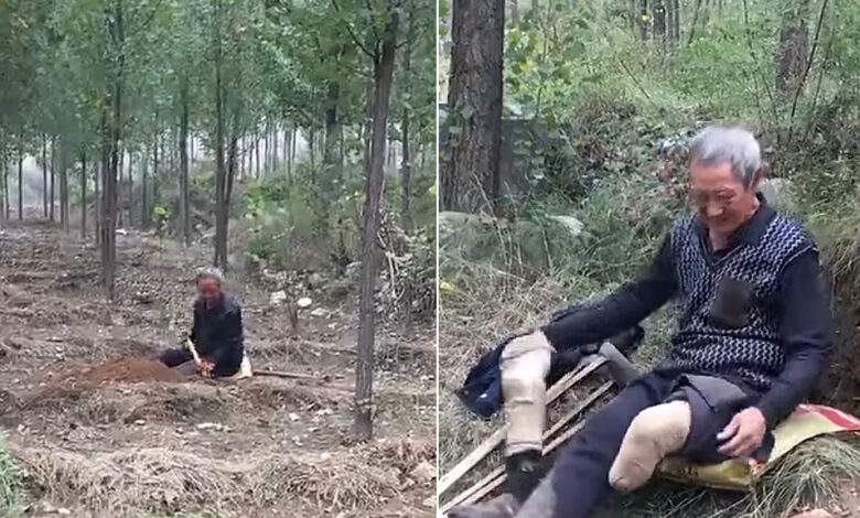 Amputé, ce vétéran de 70 ans a planté plus de 17 000 arbres en 20 ans pour transformer une montagne aride en forêt