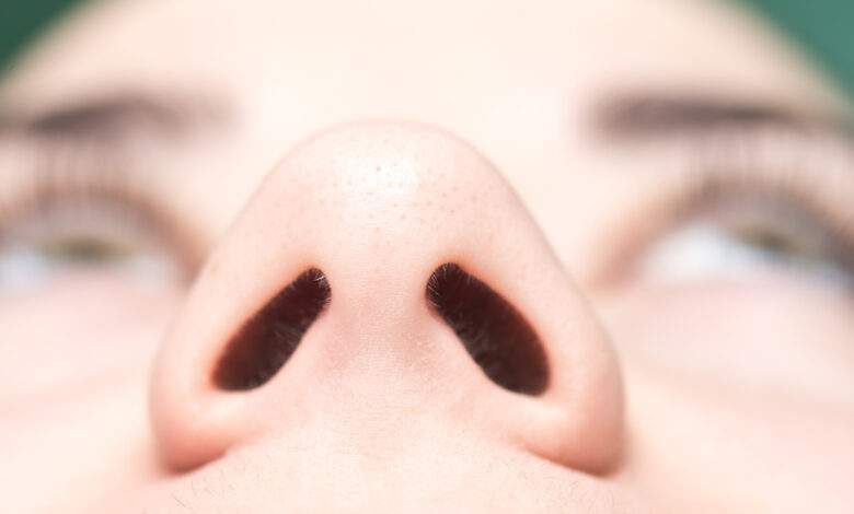 Pourquoi ne respirons-nous pas par les deux narines en même temps ?