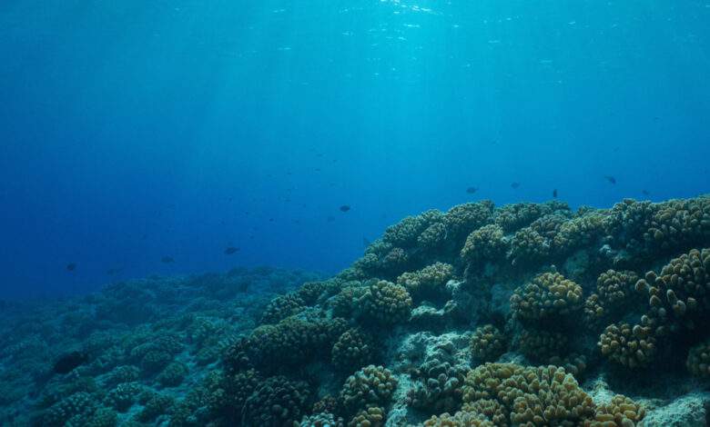 Une nouvelle théorie suggère que la vie serait apparue grâce à l’hydrogène