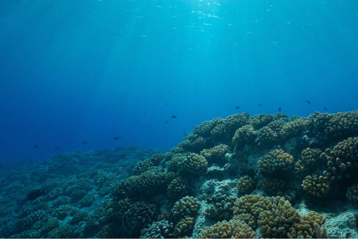 Une nouvelle théorie suggère que la vie serait apparue grâce à l’hydrogène