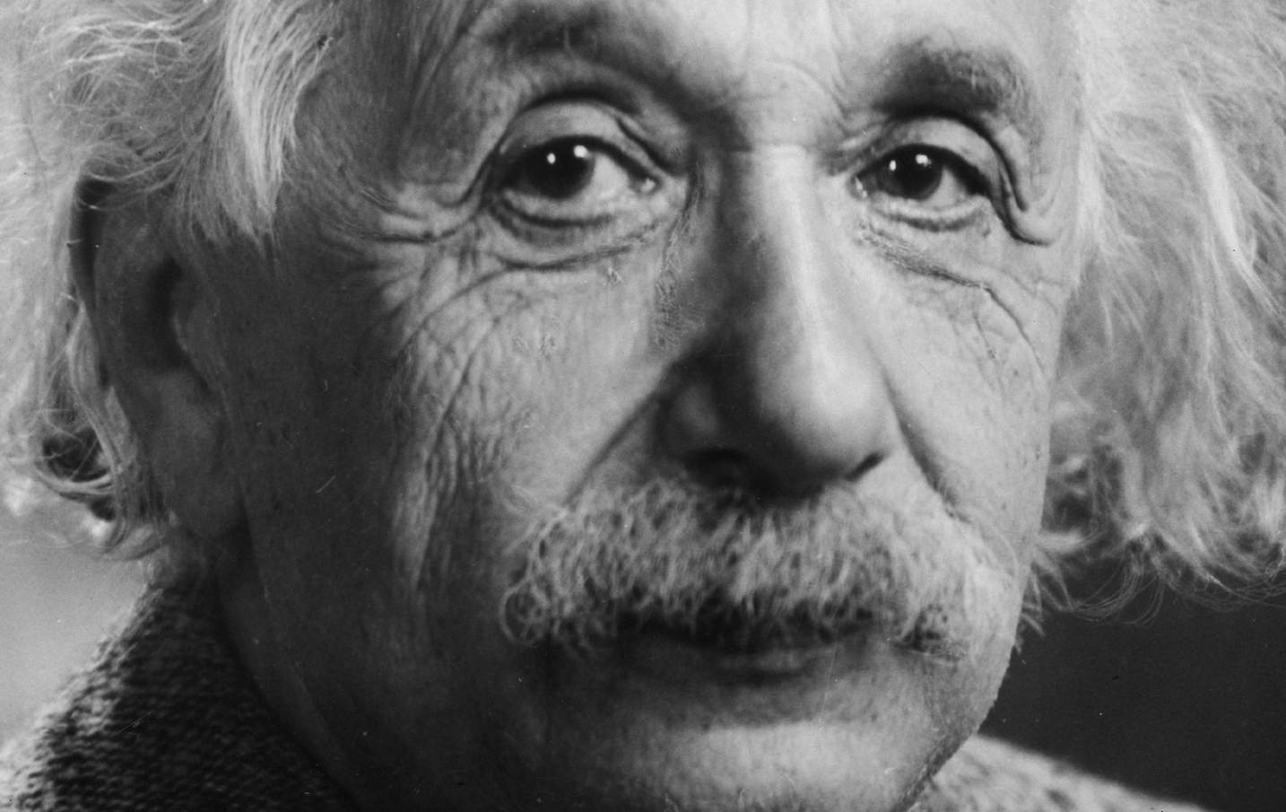 Portrait d'Albert Einstein (gros plan)