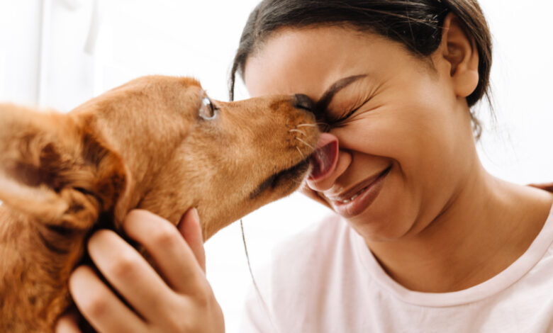 Un chien qui lèche le visage d'une femme