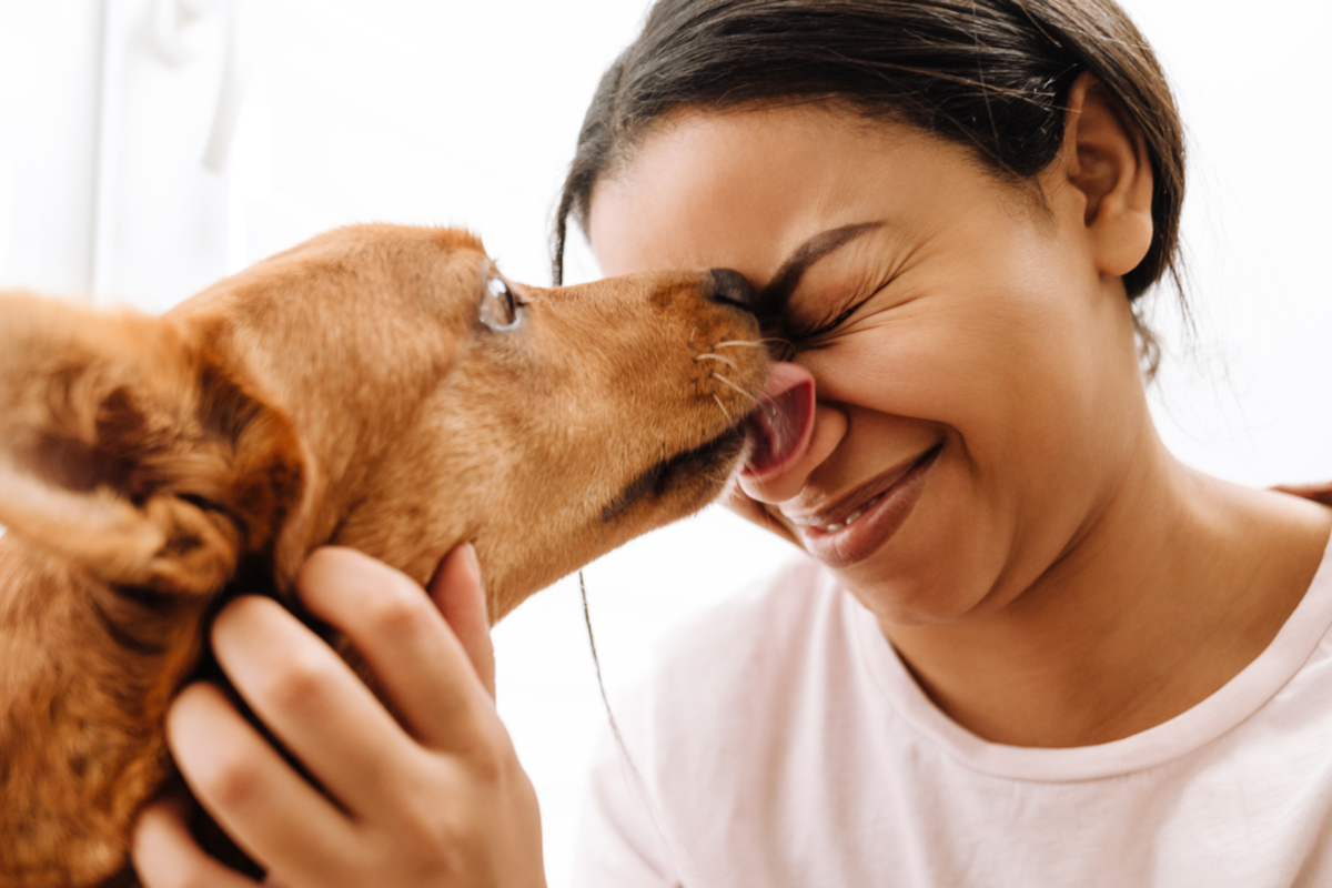 Un chien qui lèche le visage d'une femme