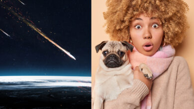 Une météorite, une femme et son chien