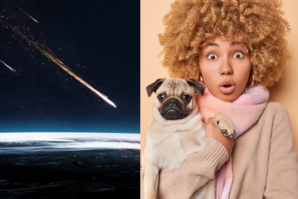 Une météorite, une femme et son chien