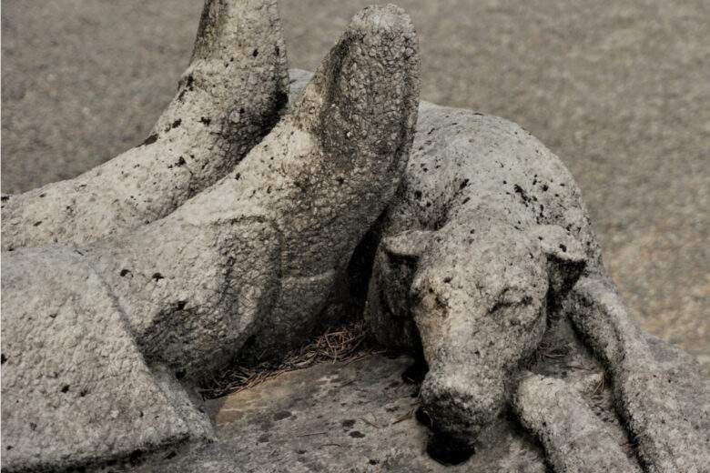 Une pierre tombale avec un chien